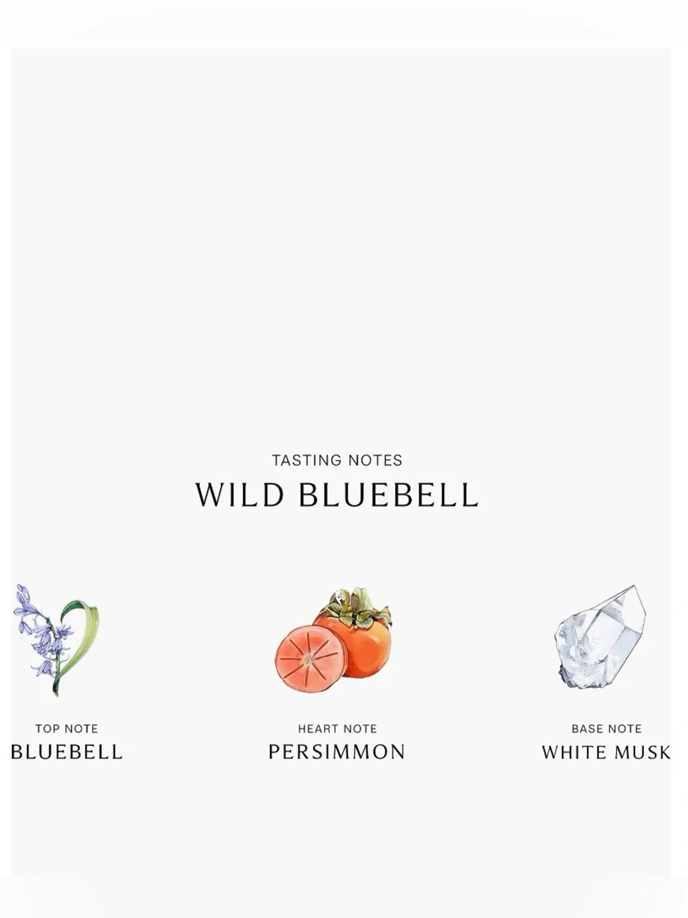 Jo Malone comes box